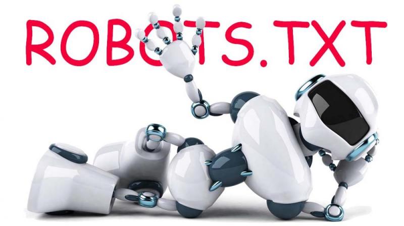 Что такое robots.txt и зачем он нужен в Магадане